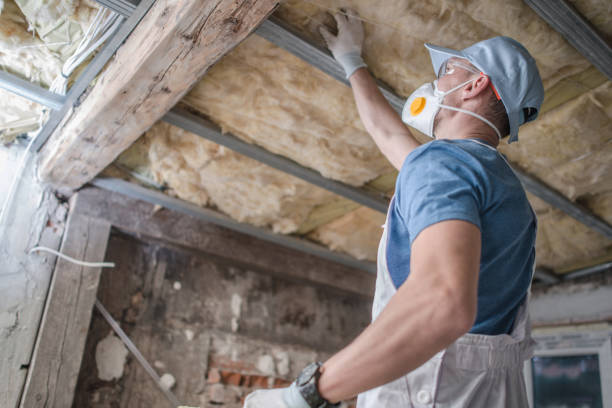 Best Energy Efficiency Solutions in Annetta, TX