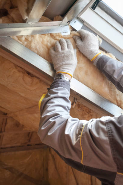 Best Residential Insulation in Annetta, TX