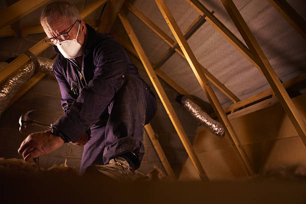 Best Insulation Maintenance and Repair in Annetta, TX