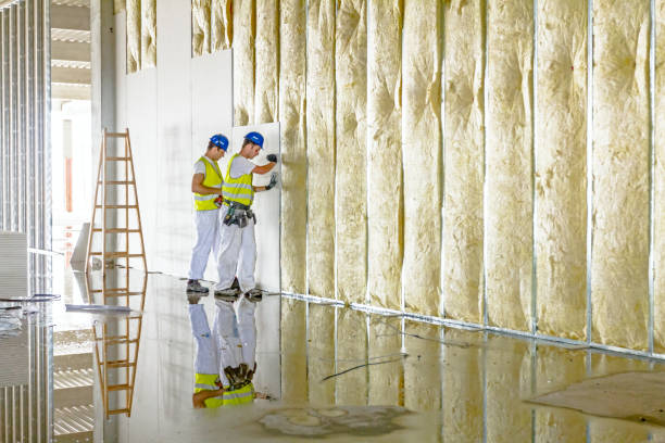 Best Specialty Insulation in Annetta, TX